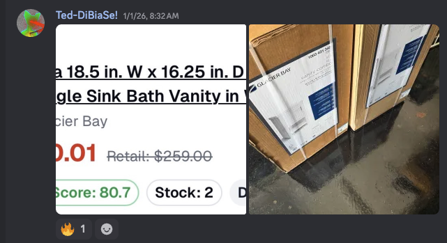 Glacier Bay Bath Vanity penny find